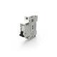 Interruptor termomagnético 1 polo 6kA Curva D